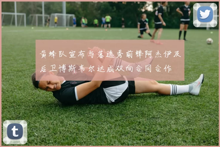 黄蜂队宣布与落选秀前锋阿杰伊及后卫博斯韦尔达成双向合同合作